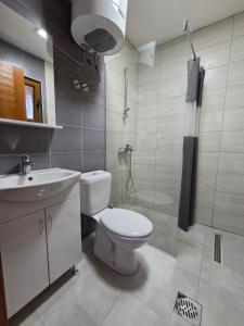 a bathroom with a toilet and a sink and a shower at Visitor place 2 in Plav +16 photos