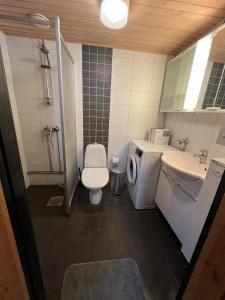 a bathroom with a toilet a sink and a washing machine at HonkaRuka, Agrohonka in Ruka