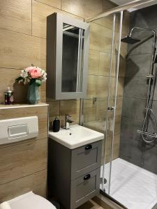 une salle de bain avec douche, lavabo et toilettes dans l'établissement Gemütliche Ferienwohnung 479 im Panoramic Hohegeiß Braunlage mit Pool und Sauna, à Braunlage