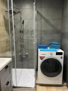 une machine à laver dans une salle de bain avec douche dans l'établissement Gemütliche Ferienwohnung 479 im Panoramic Hohegeiß Braunlage mit Pool und Sauna, à Braunlage