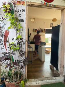 a man standing in a kitchen with a counter at Café The Wall in Pushkar
