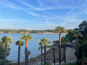 a group of palm trees next to a body of water at Cosy one bedroom flat with terrace in Saint-Lunaire