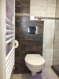 ein Badezimmer mit einer weißen Toilette in einem Zimmer in der Unterkunft Wellness Hotel TREZOR in Pécs + 26 Fotos