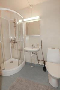 a bathroom with a shower and a toilet and a sink at Studio apartment in Kaivoksela for two persons in Vantaa