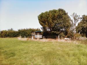 una piccola casa seduta in cima a un prato di Roulotte a Marnefer