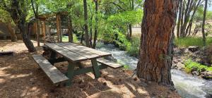 a picnic table sitting next to a tree next to a creek at King Suite with a Full Kitchen and Balcony at the Cedaredge Lodge in Cedaredge +5 photos