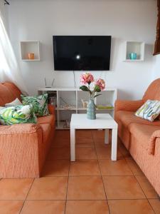 TV a/nebo společenská místnost v ubytování Casa Bonaire, Santa Cruz de La Palma