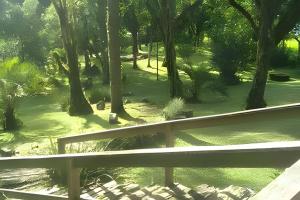 カンポ・アレグレにあるCURTA! |152| Aconchegante Vista Centro 3Qの木や芝生のある公園のベンチ +6枚の写真