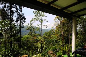 a view of the forest from a porch at Hiruni Cottage Ella in Ella