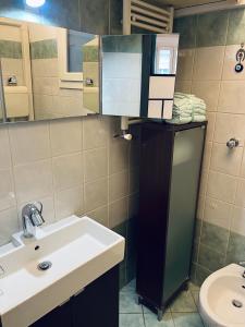 une salle de bain avec un lavabo et des toilettes dans l'établissement Suite con terrazzo, à Milan