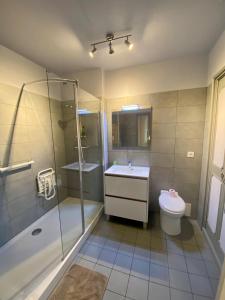 a bathroom with a shower and a sink and a toilet at Gîte Massibel au coeur de Brassac in Brassac