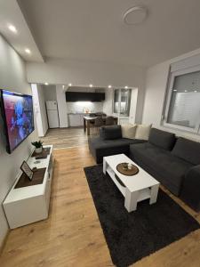 a living room with a couch and a tv at Vanja Apartman 2 in Vršac