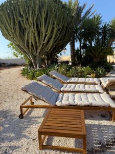 a row of chaise lounges in front of a palm tree at Villa Chimera in Pachino