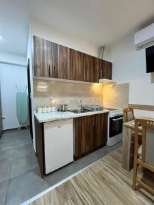 Kuchyň nebo kuchyňský kout v ubytování Apartman Veličković Sokobanja + 9 fotografií