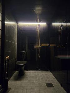 a dark bathroom with a shower and a toilet at Siulakumpu Cabin in Inari +19 photos