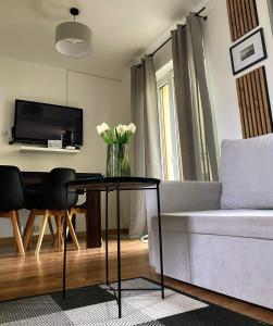 TV a/nebo společenská místnost v ubytování Komandorska Apartments