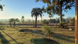 a fire pit in a field with palm trees at El Paraíso - Casa rural en zona termal de Concordia in Concordia