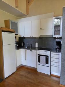 Fotografie z fotogalerie ubytování Kylpyla Spa, Fire&Frost, B11 v destinaci Imatra