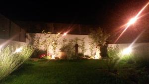 Ogród w obiekcie Poesia y Vino
