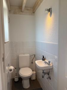 a bathroom with a toilet and a sink at Beach House Casita Wenduine in De Haan +4 photos