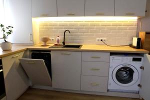 a kitchen with a sink and a washing machine at Casa Luna in Zalău