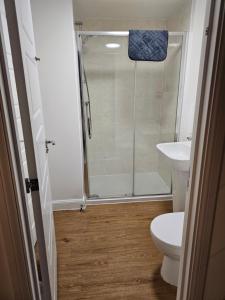 a bathroom with a shower and a toilet and a sink at Very Large King bedroom- Dartford Central in Dartford
