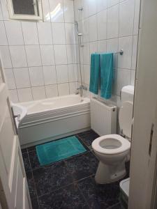 Koupelna v ubytování pensiune Elena, apartament, Iulius Mall + 37 fotografií