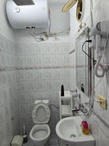 Un baño pequeño con inodoro y lavabo. en Cozzy Studio Tirana, en Tirana