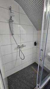 a shower with a glass door in a bathroom at WiLDBED DE in Bad Wildbad +23 photos