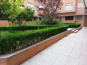 Vonkajšia záhrada v ubytovaní Apartamento Buhaira