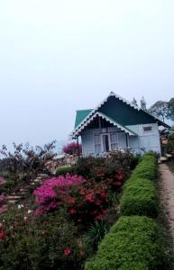 Gallery image of Dara Homestay, Charkhole in Kalimpong