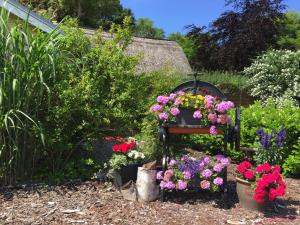 インゼル・ペールにあるAppartementanlage Zur Seemöweの花と植物のベンチのある庭園