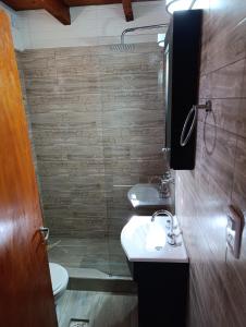 a bathroom with a shower and a sink and a toilet at Hospedaje Diego Fabián in Antofagasta de la Sierra