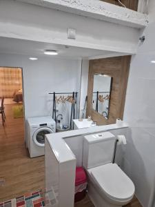 a bathroom with a toilet and a washing machine at La Casona in Redondela +35 photos