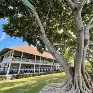 un grande edificio bianco con un albero di fronte di Cozy condo 290m distance from the beach a Punta Cana