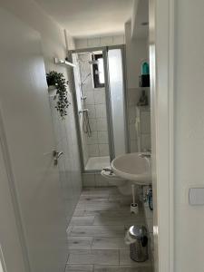 a bathroom with a sink and a toilet and a shower at Ferienwohnung Appartement am Wildpark Bad Harzburg in Bad Harzburg