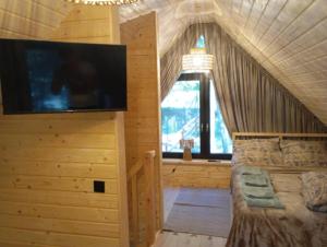 a bedroom with a tv and a bed in a room at Dadaj Chill 2 domek nad jeziorem, wanna jakuzzi, fotel masujący in Wilimy