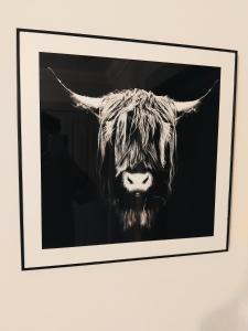 Fotografie z fotogalerie ubytování Room in bungalow v destinaci Alness