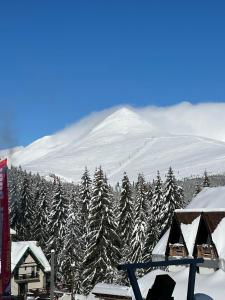 Imagen de la galería de Complex Panoramic, en Ranca