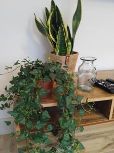 Fotografie z fotogalerie ubytování Room in bungalow v destinaci Alness + 21 fotografií