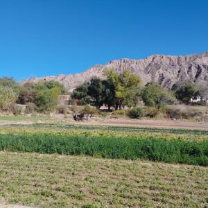a field with trees and mountains in the background at Sol de Maimará in Maimará +10 photos
