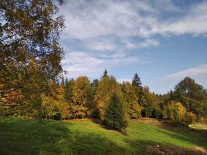 a green field with trees in the background at Zapach Lasu Polanica -Zdrój 