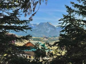 a mountain seen through the branches of trees at PinePano Lodges in Žabljak
