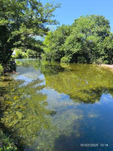 a river with trees reflecting in the water at La Casa de la Miel in Ramales de la Victoria +4 photos