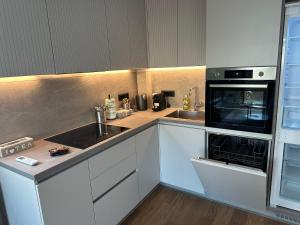 Kuchyň nebo kuchyňský kout v ubytování Elmora Residence Vračar Južni Bulevar