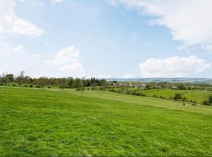 a field of green grass with animals in the distance at Beautiful scenery in Startforth