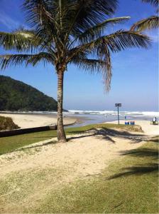 a palm tree on a beach with the ocean at Apartamento no Módulo 6 em Riviera de São Lourenço in Bertioga