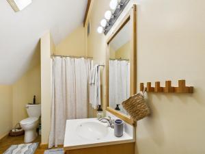 a bathroom with a sink and a toilet and a mirror at Top of the Line Asheville Mountain Cabin in Leicester +73 photos