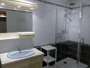 un bagno con lavandino e doccia di Charmant gîte familial avec terrasse, garage et jardin clos à Pont-la-Ville - FR-1-611-35 a Pont-la-Ville