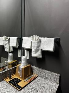 ヒューストンにあるRegency Innのバスルーム(タオル掛け付)
